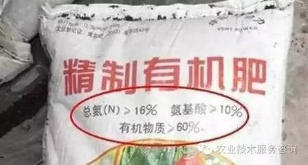 �@3�N���ЙC�ʡ��Ǽٵģ�ǧ�f�e�I��