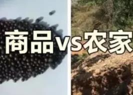 ��ʲô��Ʒ�ЙC�ʱȼS�ʺã�