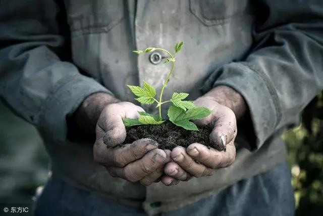 ��ô����rˎ���ٻ����_�r�������������Ĳ���ʹ����