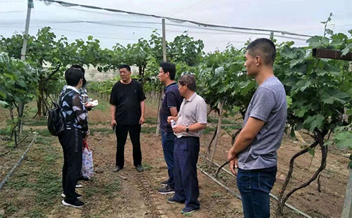 ע�⣡�����Йz��0.01%�rˎ�ɷ֣��S�ұ��P��25�f