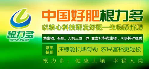 ������ ΢�������3.jpg