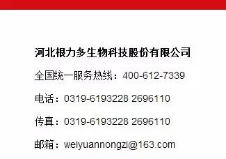 ������ ΢�������2.jpg