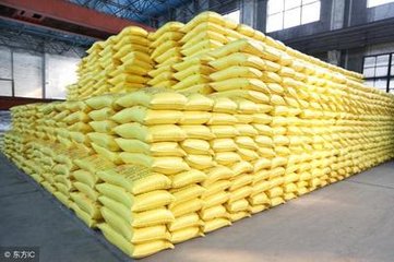 2��23�������Ј�����