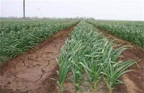 ����׷�ʕr�C(j��)��׷�ʷ���������׷��ע����헣�