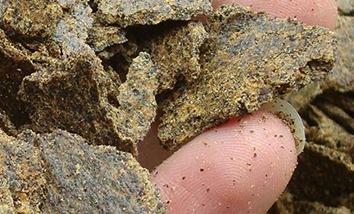 ���ôʩ����ʵĿƌWʩ�÷���