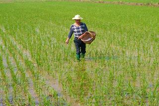 �������ʩ����Ҫע��ʲô��