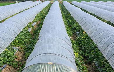 �����÷ʵ���Ҫ�N�ע�����(xi��ng)