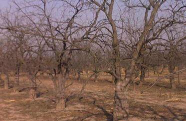 ����(sh��)��ôʩ���ӷʣ�����(sh��)��ʩ���ӷʵķ���