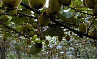 �J���Ҷ���ʩ�ʼ��g��ע�����