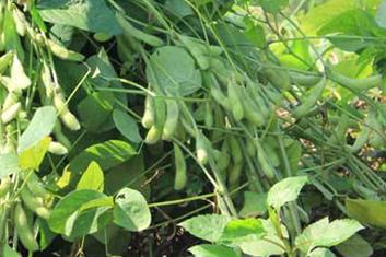 ����ôʩ������ʩ�ʼ��g