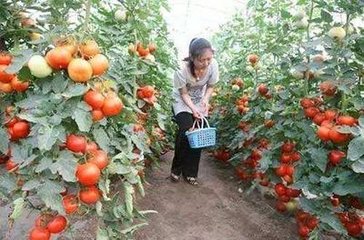 ���t����׷�ʼ��g