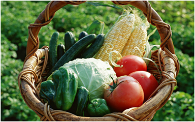 �ЙC(j��)��������ʼ��g(sh��)�������t�����˲�ԓ�x�ķNģʽ��