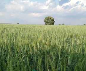 �����ٷ����~��ʡ����ʡ�ˮ�ܷ���ô���Ǳ����ϣ�