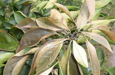 �ʺ���ô��e���ʺ���e����