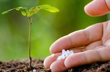 ���ϝq�r�r��e�£��������@Щʩ��������ʡ�XЧ���ֺã�