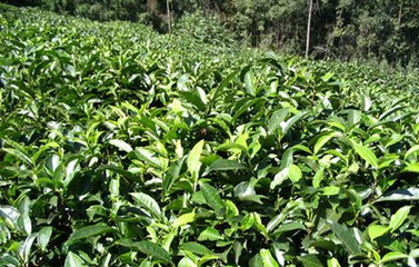 ʷ����ȫ����(j��ng)��(j��)�����ЙC(j��)��ʹ�ü��g(sh��)��