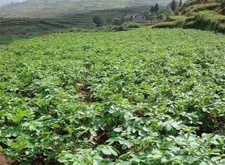 ����ʩ��΢������ʵ�ע�����