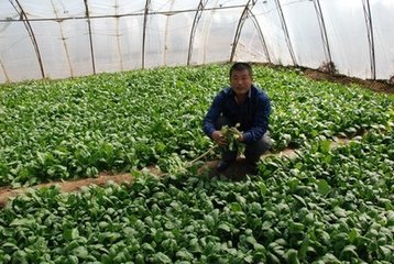   Խ��������ôʩ�ʣ�