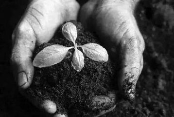 ����Ч�����ã���ԭ��ֻ�Ђz����