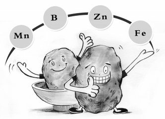 ���ʩ��΢��Ԫ�ط��ϲŕ������أ�