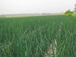 �[����߲�ʩ�ʷ���