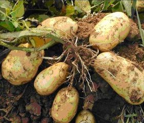 �R������ʩ�ʸ��ƌW��