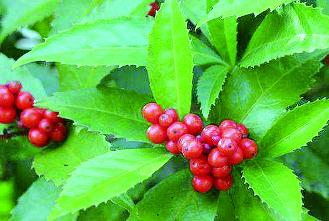 ��ɺ��ʩ�ʼ��g