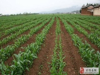 ������ôƽ��ʩ����