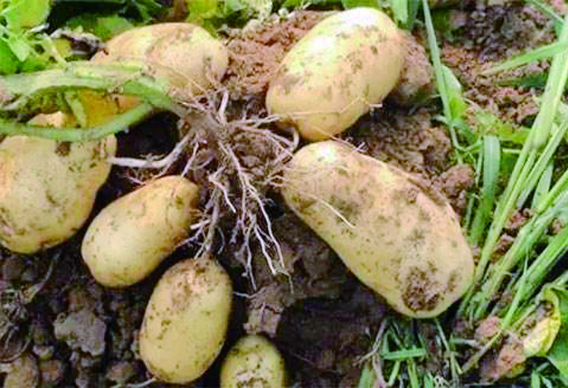 �ú��ЙC���A�����財