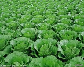 �y��ʩ���е���⛵Ŀ��Ƽ��g