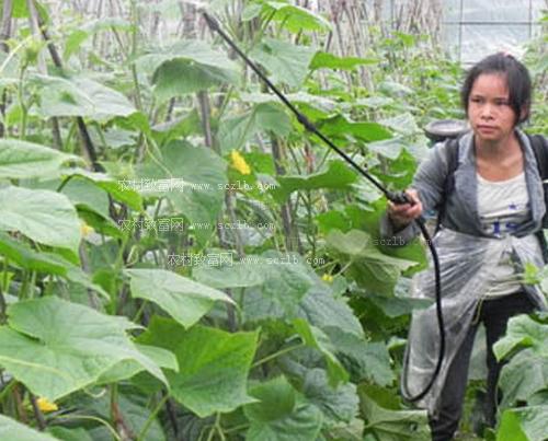 �߲�ʩ���~��ʵ�ע�����