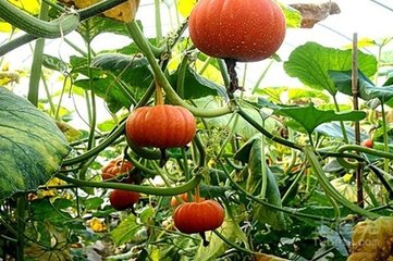 �Ϲϵ�ʩ�ʼ��g(sh��)