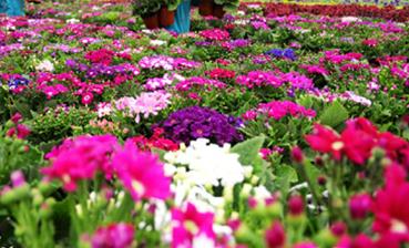 ������ôʩ�ʣ����ܵ�ʩ�ʼ��g(sh��)