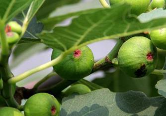 �o������ôʩ�ʲ��ܸ߮a���o����ʩ�ʼ���