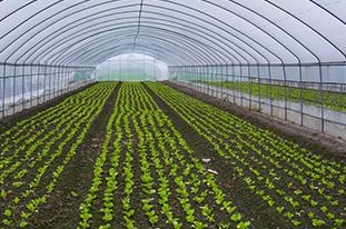 �����߲�ʩ������Щԭ�t�������߲�ʩ�ʵ�ԭ�t