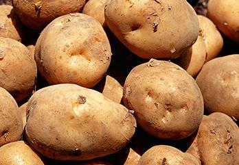 �R�����ôʩ�ʲ��ܸ߮a���R���ʩ�ʼ��g