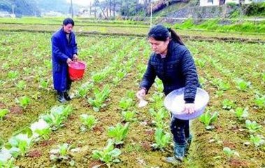 ʩ��������ô׌��Ч���L��