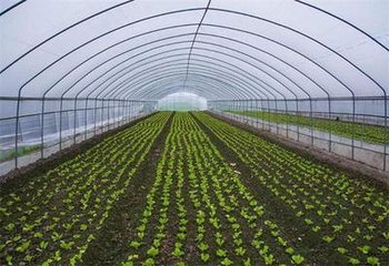 ��ߴ����߲˷��������ʵķ���