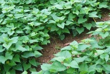 �t��⛷�ʩ�ü���