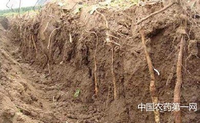 ɽˎʩ�ʵķ���