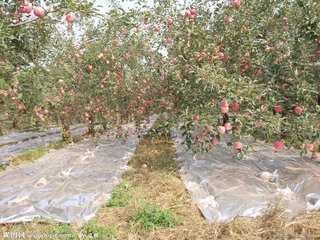 �ٺõ��ЙC�ʣ�Ҳ���ܺ�ҕ�@Щ�� ���@����զ�÷ʣ�