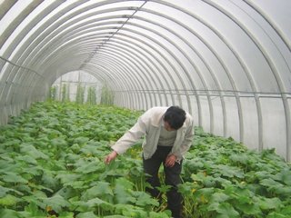 �����߲˷ʺ��A(y��)����ʩ