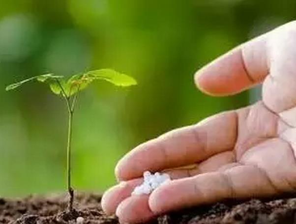 ���ϡ�36�ɡ����ܶ������˵�һ���͡����Ѓ����ˣ�