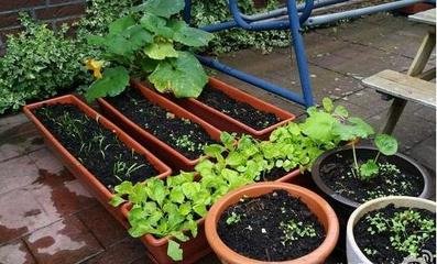 ����ֲ���ЙC�ʵ�ʩ�÷���