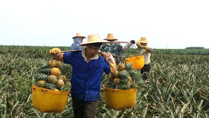 ���}�������պ�Ҫ���rʩ��