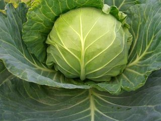 �Y����{��ʩ�ʼ��g