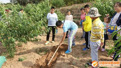 ����(sh��)ʩ�ʷ���