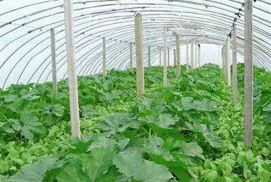 �������ҹ������@�ׂ����}ǧ�fҪע�⣡