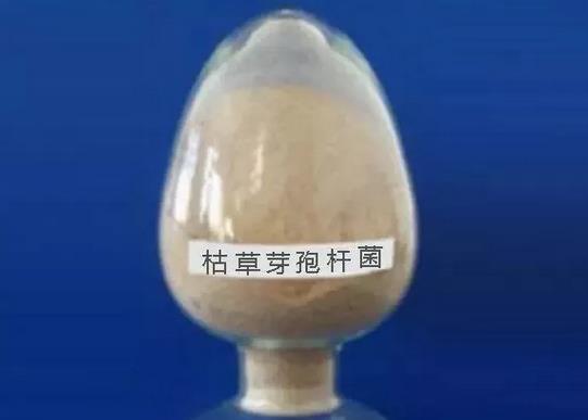 ��ʲô΢������϶��ÿݲ�ѿ�ߗU����