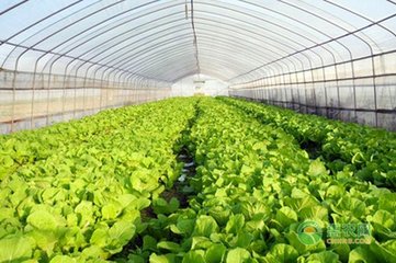 �����߲�ʩ�ʴ��ڵĆ��}�����M(j��n)��ʩ